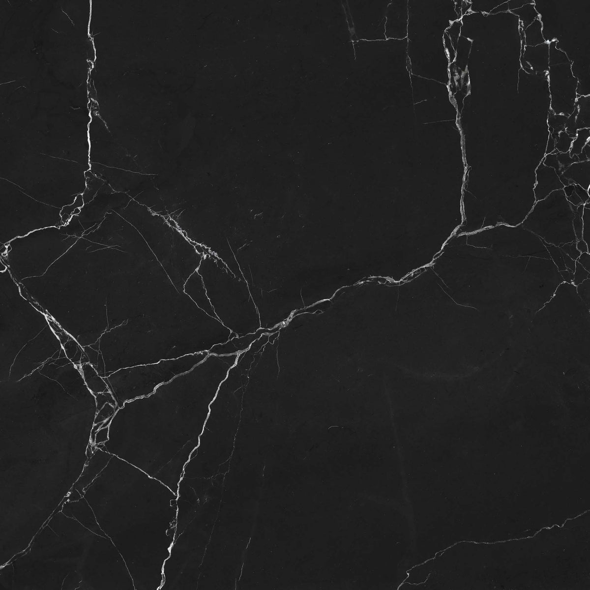 ECO Feinsteinzeug 120x120 Saigon Serie Poliert Boden- Wandfliese, Black